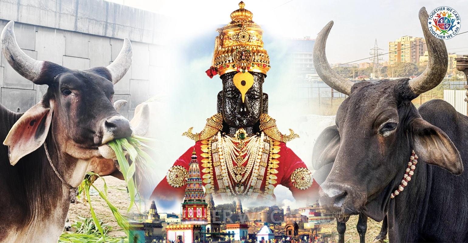 This Ashadhi Ekadashi, Let Your Devotion Become Compassion